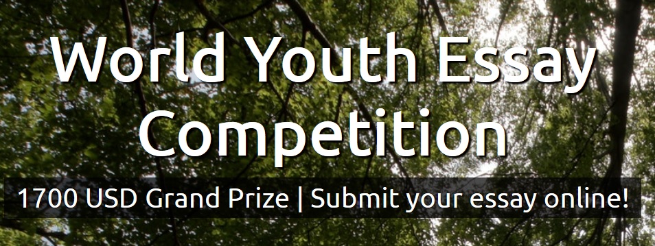 world youth essay competition 2018